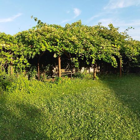 אוננג River Side - Cosy - Lot Of Space מראה חיצוני תמונה